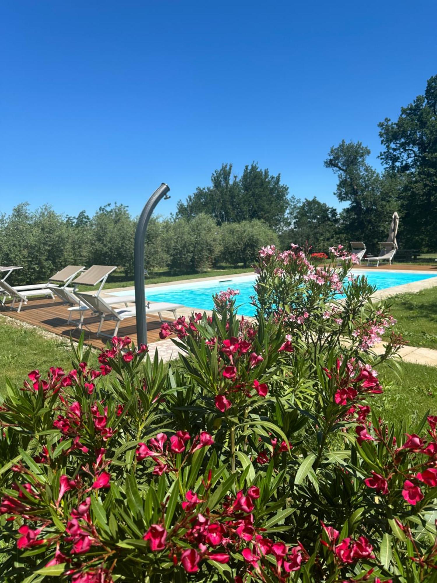 Podere Selvatici Imola Exterior photo